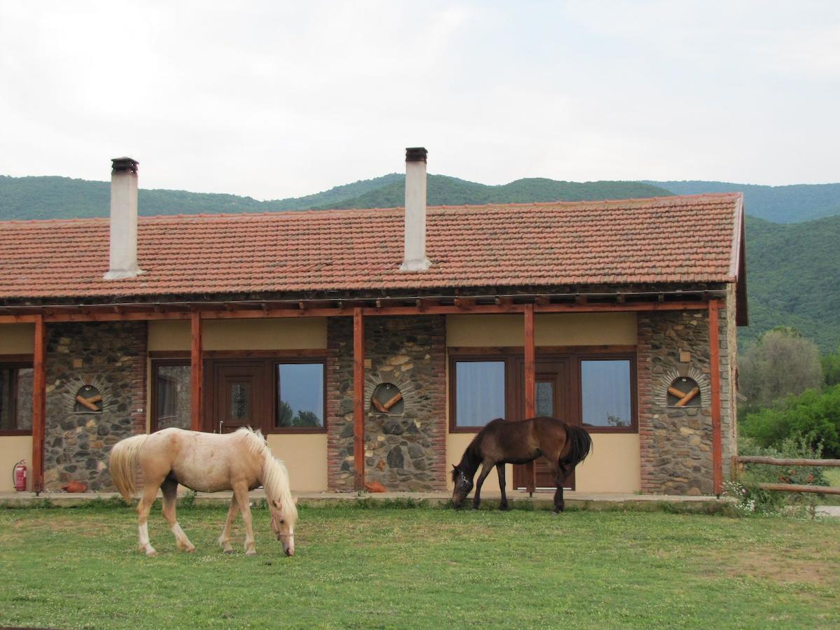 Ihnilatis Bed and Breakfast Kerkíni Buitenkant foto